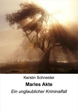 Kerstin Schneider Maries Akte обложка книги