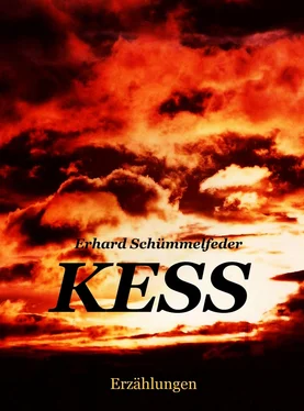 Erhard Schümmelfeder K E S S обложка книги