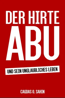 Cagdas O. Sahin Der Hirte Abu обложка книги