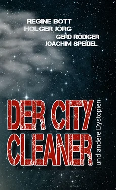 Regine Bott Der City-Cleaner обложка книги
