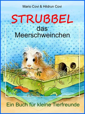 Mario Covi STRUBBEL - das Meerschweinchen обложка книги