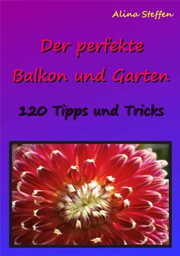 Alina Steffen Der perfekte Balkon und Garten обложка книги