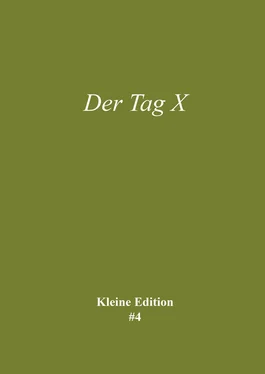 Sabine Theadora Ruh Der Tag X обложка книги