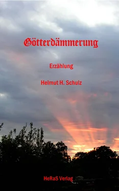 Helmut H. Schulz Götterdämmerung обложка книги