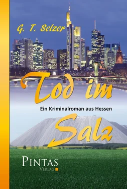 G. T. Selzer Tod im Salz обложка книги