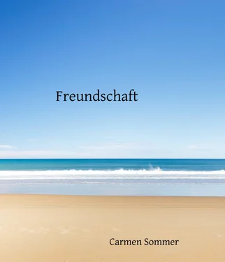 Carmen Sommer Freundschaft обложка книги