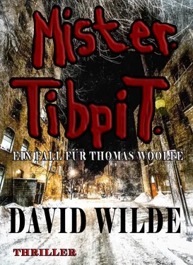David Wilde Mister Tibpit обложка книги
