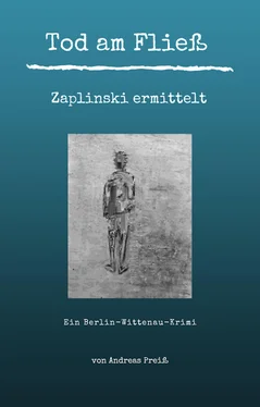 Andreas Preiß Tod am Fließ - Zaplinski ermittelt обложка книги