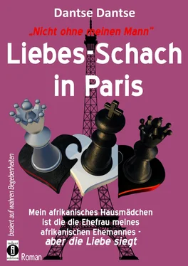 Dantse Dantse Nicht ohne meinen Mann: Liebes-Schach in Paris обложка книги