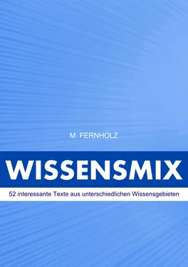 M. Fernholz Wissensmix обложка книги