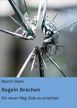 Martin Stark Regeln Brechen обложка книги