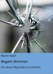 Martin Stark - Regeln Brechen