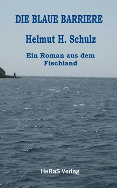 Helmut H. Schulz Die blaue Barriere обложка книги