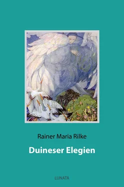 Rainer Rilke Duineser Elegien обложка книги