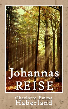 Charlotte Emma Haberland Johannas Reise обложка книги