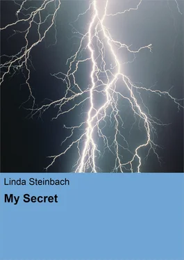 Linda Steinbach My Secret обложка книги