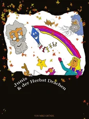 Mike Gründl - JUNIS