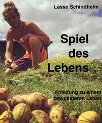 Lasse Merlin Schindhelm - Spiel des Lebens