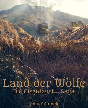 Julia Adamek Land der Wölfe обложка книги