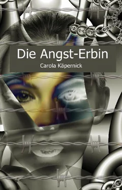 Carola Käpernick Die Angst-Erbin обложка книги