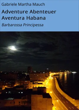 Gabriele Martha Mauch Adventure Abenteuer Aventura Habana обложка книги
