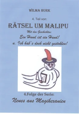 Wilma Burk Rätsel um Malipu 4. Teil обложка книги