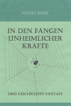 Wilma Burk In den Fängen unheimlicher Kräfte обложка книги