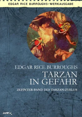 Edgar Burroughs TARZAN IN GEFAHR обложка книги