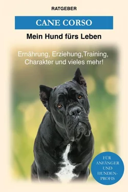 Mein Hund fürs Leben Ratgeber Cane Corso обложка книги