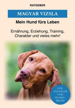 Mein Hund fürs Leben Ratgeber Magyar Vizsla обложка книги