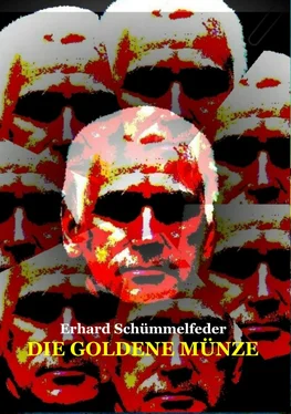 Erhard Schümmelfeder Die goldene Münze обложка книги