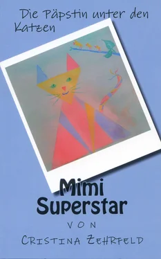 Cristina Zehrfeld Mimi Superstar обложка книги