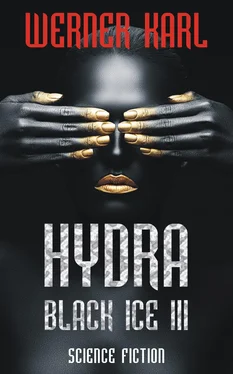Werner Karl Hydra обложка книги