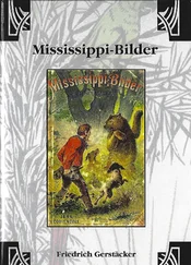 Friedrich Gerstäcker - Mississippi-Bilder