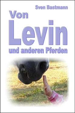 Sven Bastmann Von Levin und anderen Pferden обложка книги