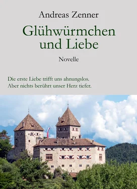 Andreas Zenner Glühwürmchen und Liebe обложка книги