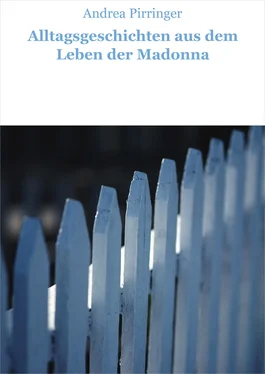 Andrea Pirringer Alltagsgeschichten aus dem Leben der Madonna обложка книги