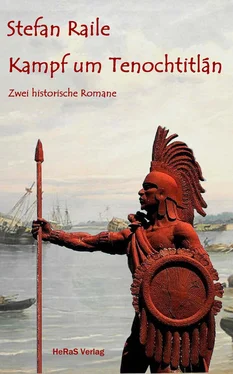 Stefan Schoblocher Kampf um Tenochtitlán обложка книги