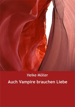 Heike Möller Auch Vampire brauchen Liebe обложка книги