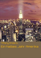 Tiffany Anders - Ein halbes Jahr Amerika