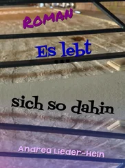 Andrea Lieder-Hein - Es lebt sich so dahin
