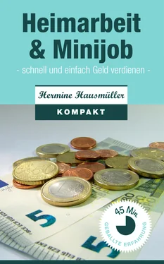 Hermine Hausmüller Heimarbeit & Minijob обложка книги