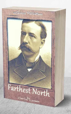 Charles Lanman Farthest North: or, the Life and Explorations of Lieutenant James Booth Lockwood, of the Greely Arctic Expedition обложка книги