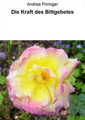 Andrea Pirringer - Die Kraft des Bittgebetes