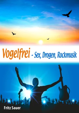 Fritz Sauer Vogelfrei - Sex, Drogen, Rockmusik обложка книги