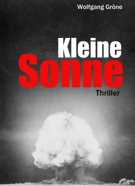 Wolfgang Gröne Kleine Sonne обложка книги