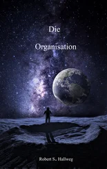 Robert S. Hallweg - Die Organisation