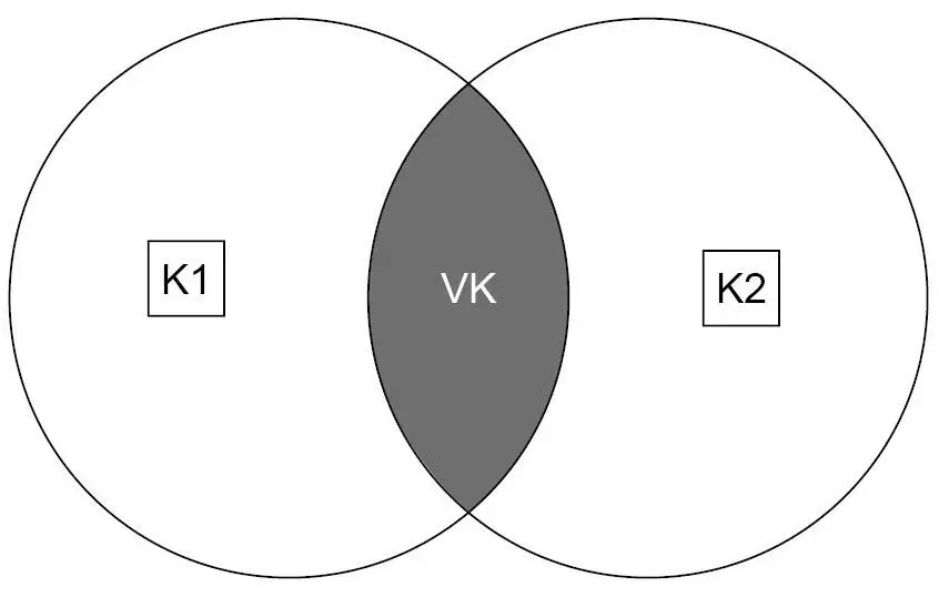 Abbildung 10 Parallelität von individuellem und virtuellem Handlungskontext - фото 11