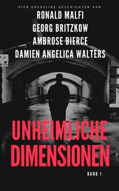 Damien Angelica Walters Unheimliche Dimensionen обложка книги