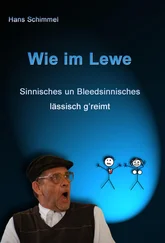 Hans Schimmel - Wie im Lewe